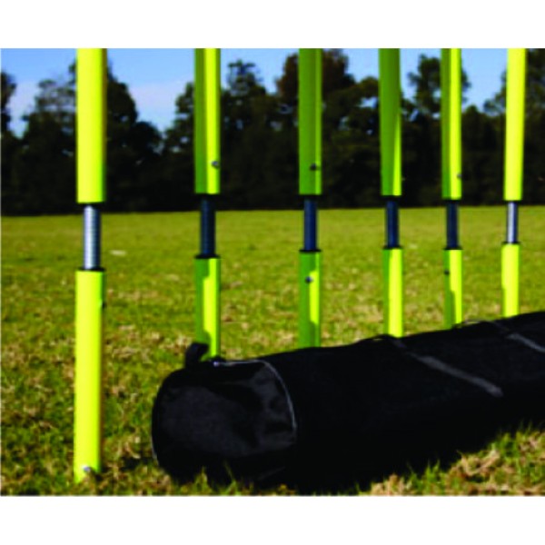 Medalist slalom poles
